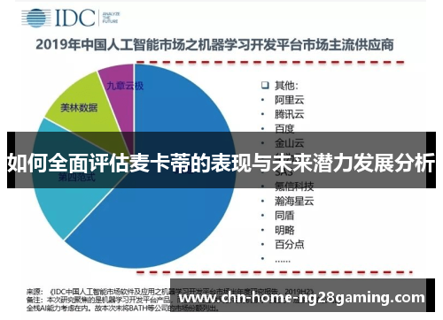 如何全面评估麦卡蒂的表现与未来潜力发展分析