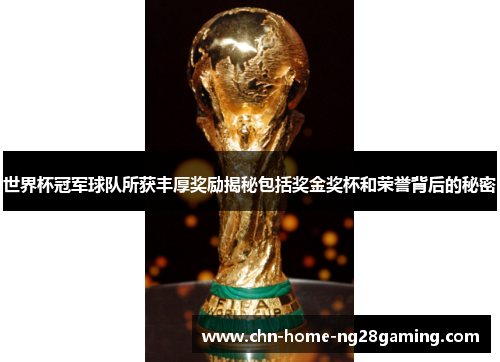 世界杯冠军球队所获丰厚奖励揭秘包括奖金奖杯和荣誉背后的秘密