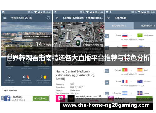 世界杯观看指南精选各大直播平台推荐与特色分析