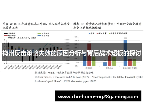 梅州反击策略失效的原因分析与背后战术短板的探讨