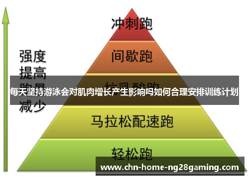 每天坚持游泳会对肌肉增长产生影响吗如何合理安排训练计划