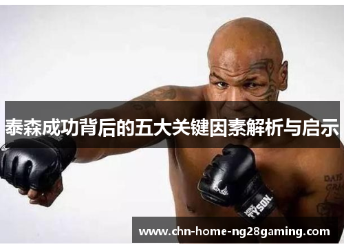 泰森成功背后的五大关键因素解析与启示