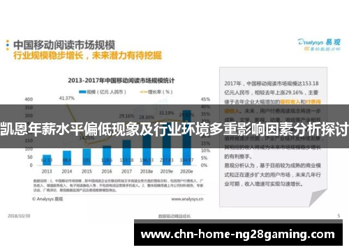 凯恩年薪水平偏低现象及行业环境多重影响因素分析探讨