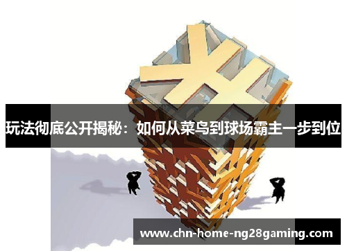 玩法彻底公开揭秘：如何从菜鸟到球场霸主一步到位