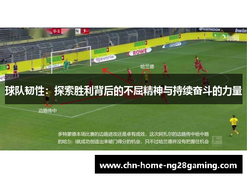 球队韧性：探索胜利背后的不屈精神与持续奋斗的力量