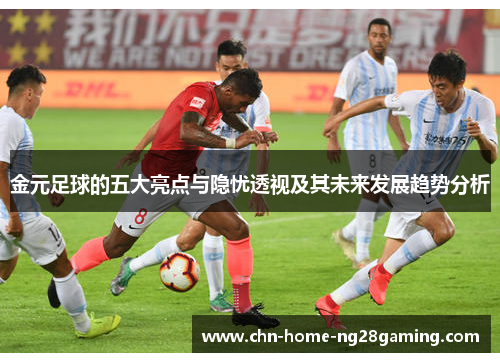 金元足球的五大亮点与隐忧透视及其未来发展趋势分析