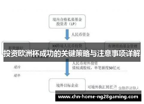 投资欧洲杯成功的关键策略与注意事项详解 投资欧洲杯成功的关键策略与注意事项详解
