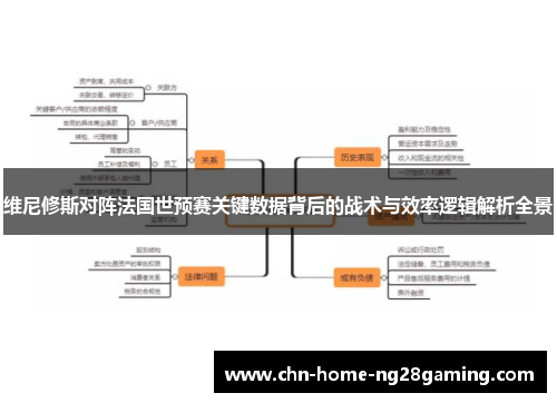 维尼修斯对阵法国世预赛关键数据背后的战术与效率逻辑解析全景