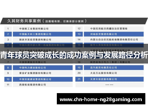 青年球员突破成长的成功案例与发展路径分析 青年球员突破成长的成功案例与发展路径分析